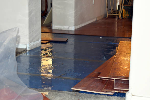 Professional Basement Flood Cleanup technician working in Corunna, MI